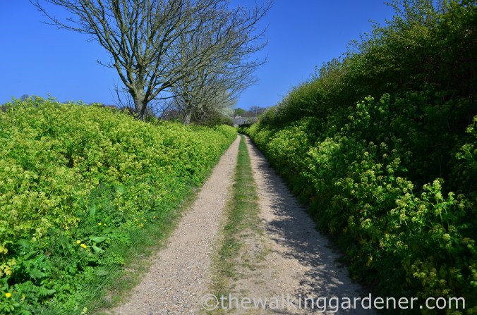 Cromer to Blakeney (7)