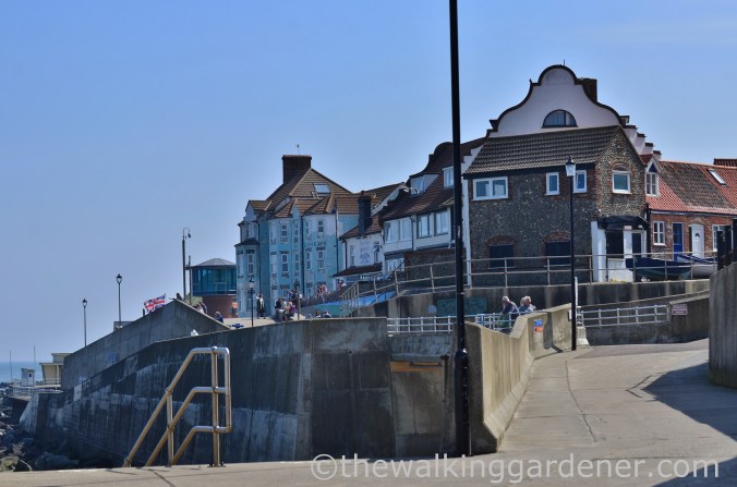 Sheringham (2)