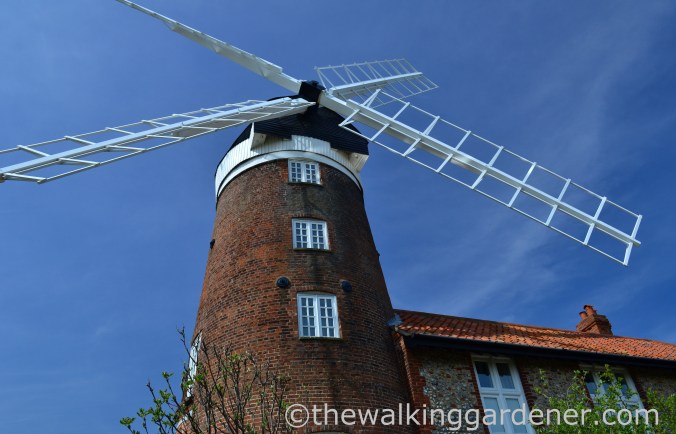 Weybourne Mill