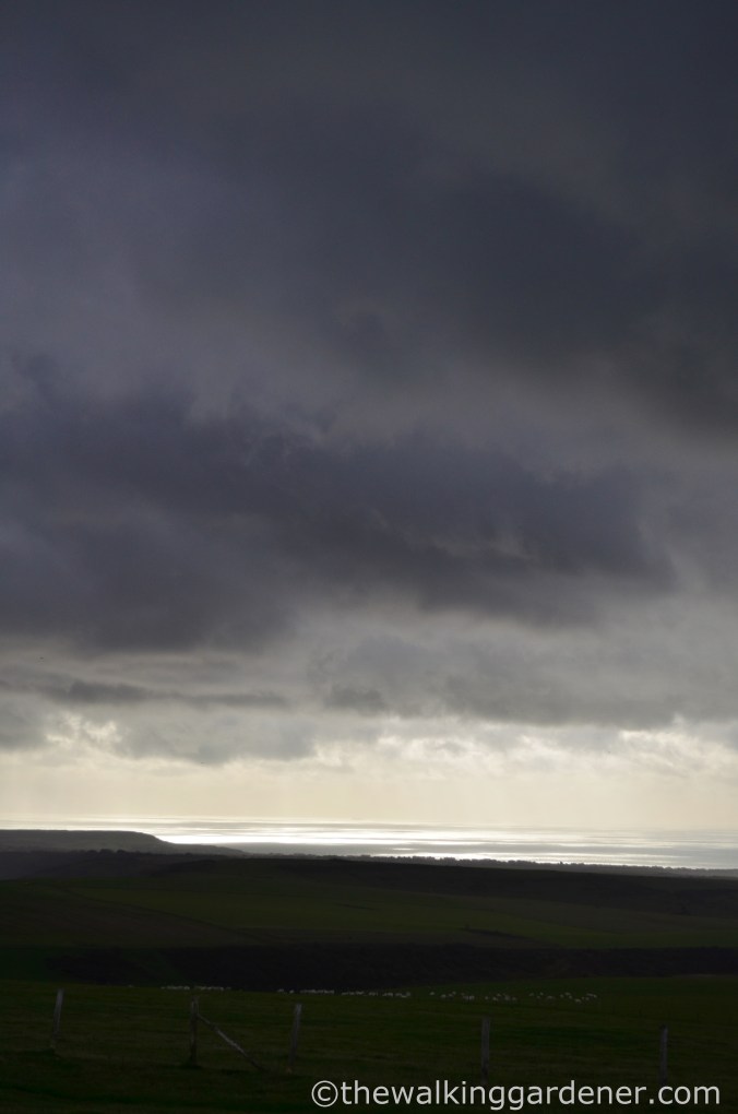 Storm on the South Downs