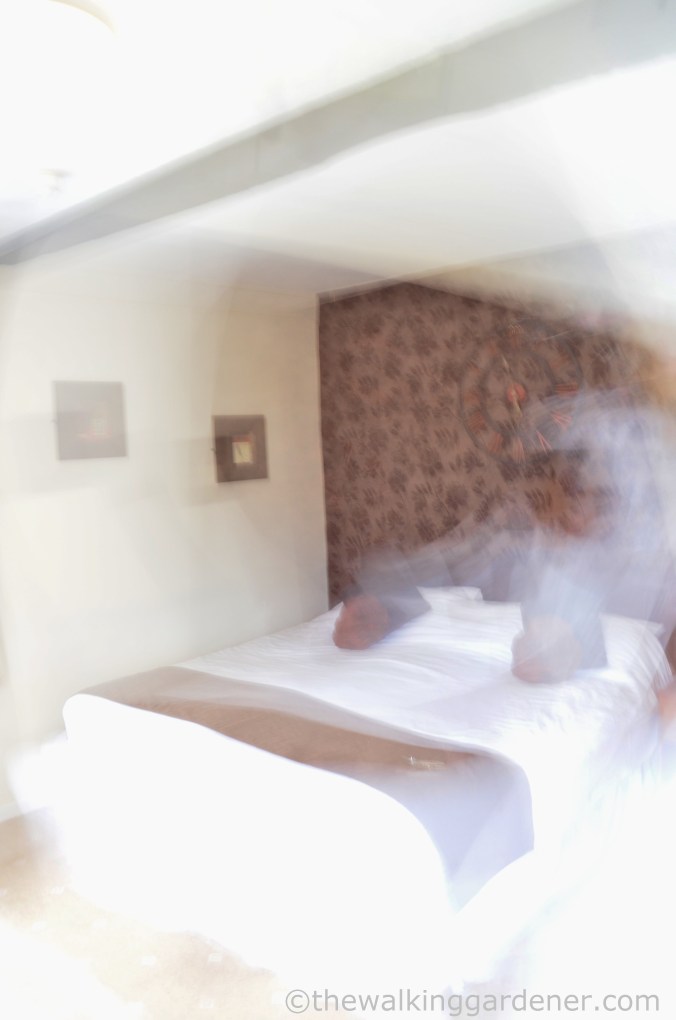 Ye Old George Inn, East Meon (3)