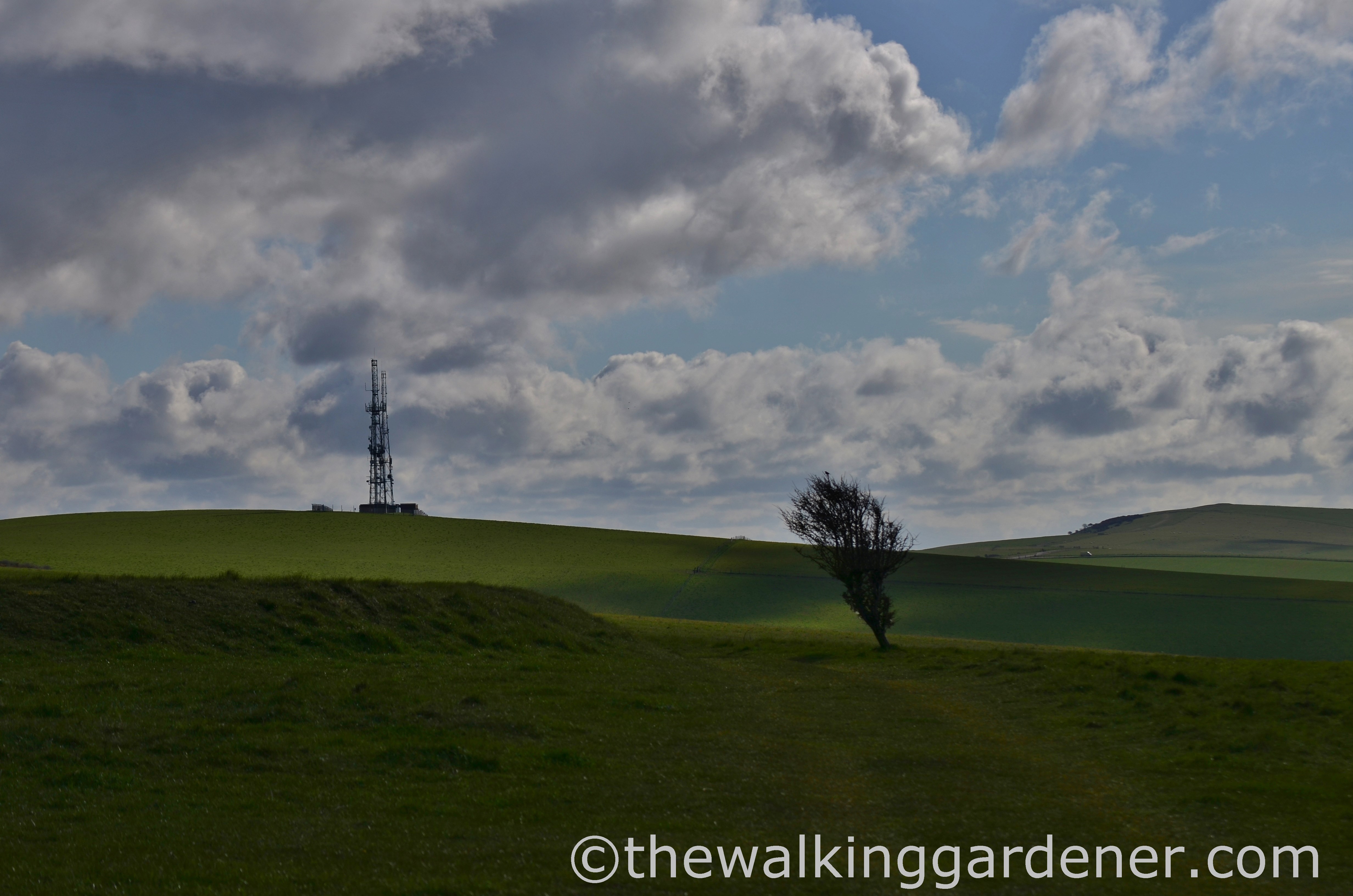 Beddingham Hill