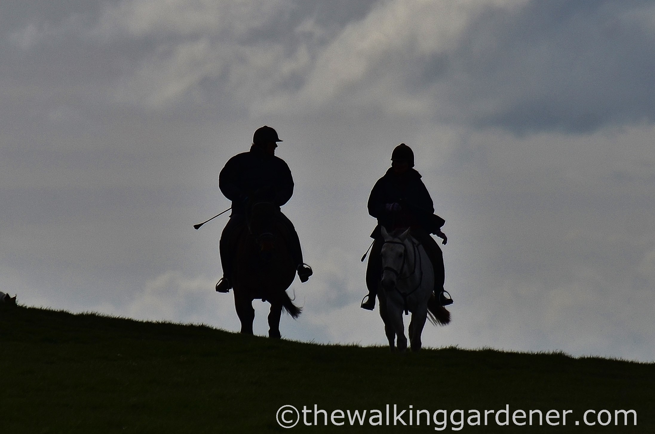 Horseriders on the South Downs