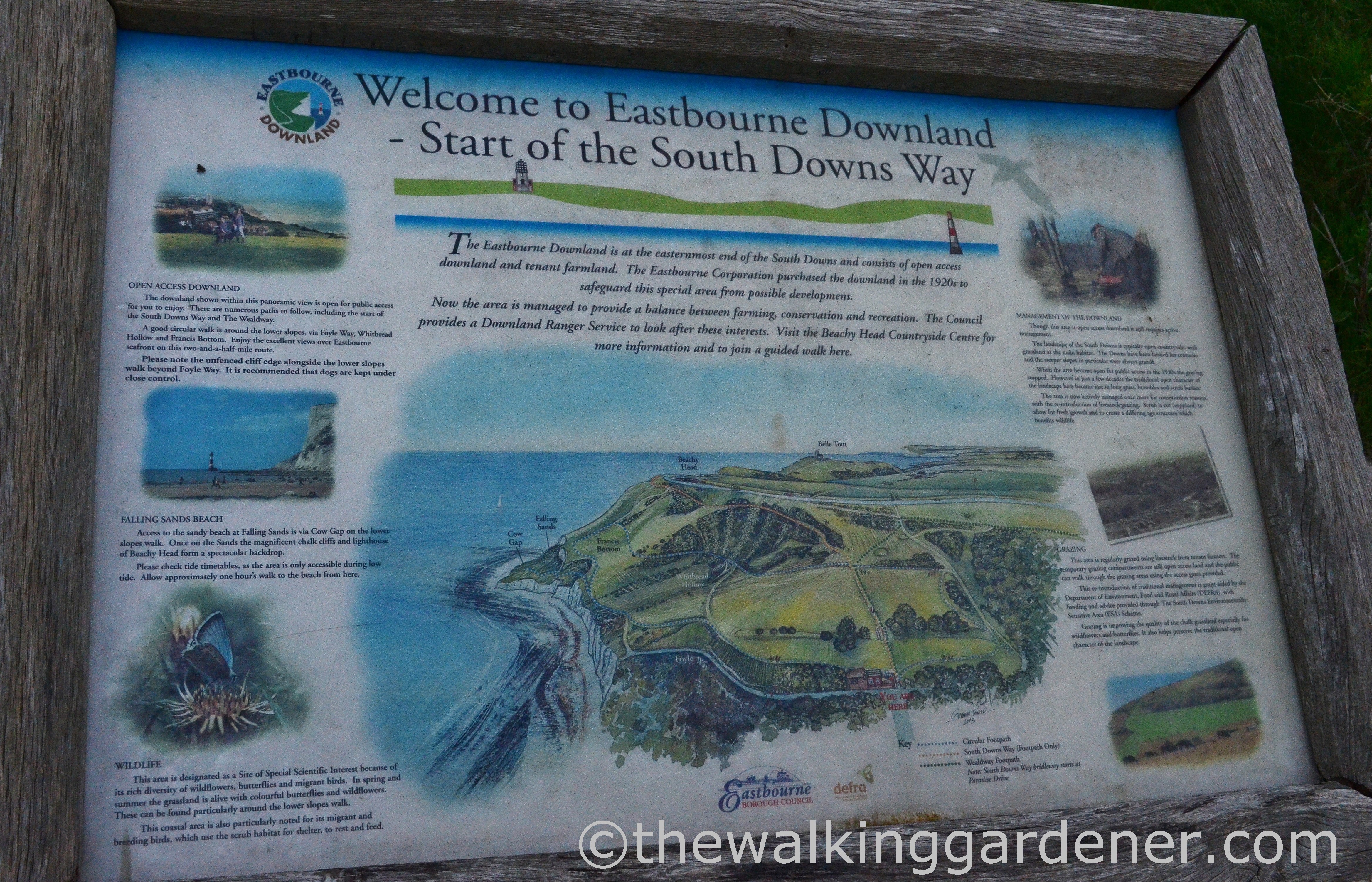 South Downs Way End