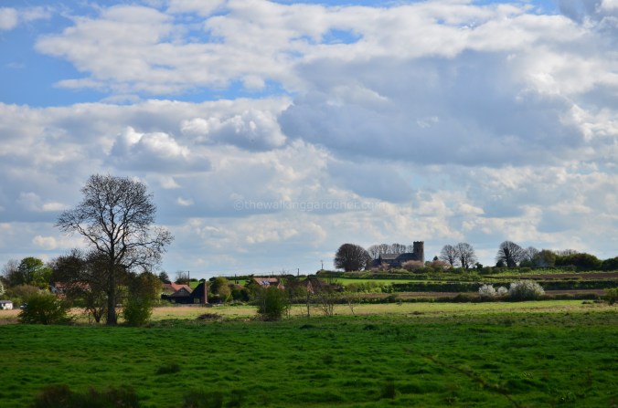 Burnham Norton Church (1)