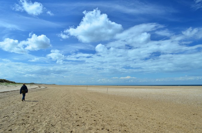 Norfolk Beach(3)