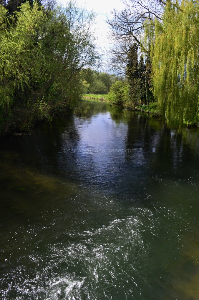 Norfolk Coast Path (16)