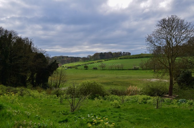 Norfolk Coast Path (5)