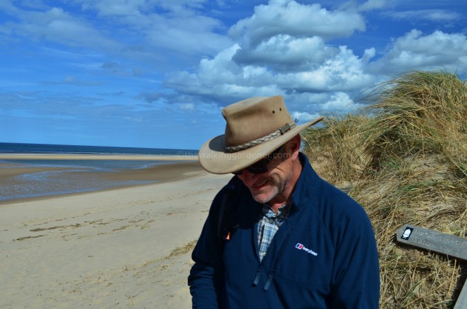 The Walking Gardener