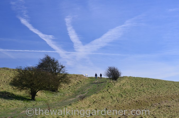 Barbury Castle The Ridgeway
