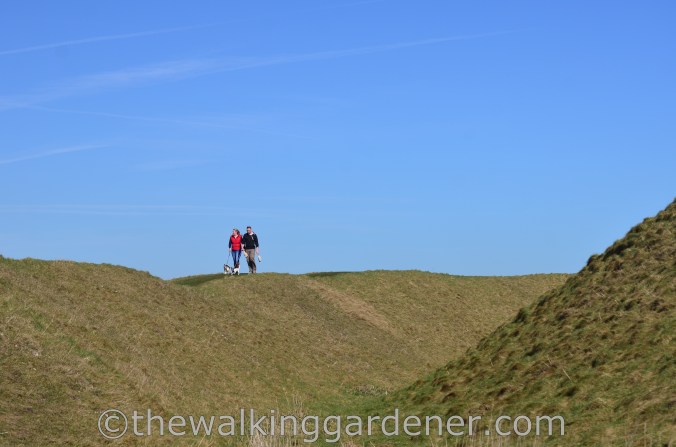 Barbury Castle The Ridgeway (3)