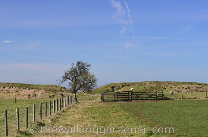 Barbury Castle The Ridgeway