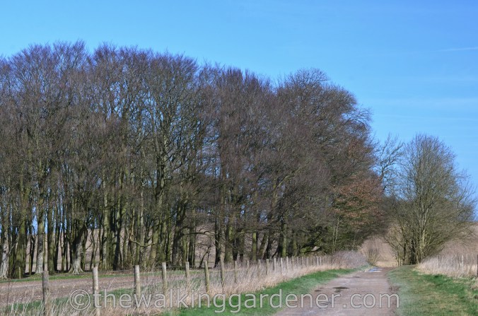 The Ridgeway Day 1 Overton Hill to Liddington
