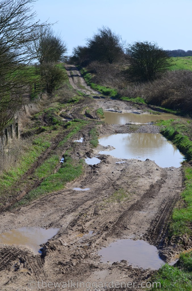 The Ridgeway Day 1 Overton Hill to Liddington (13)