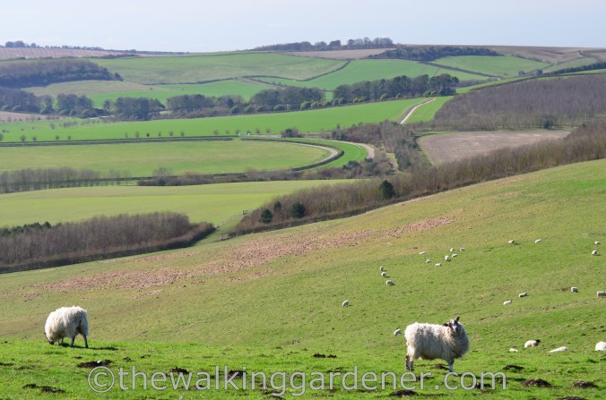 The Ridgeway Day 1 Overton Hill to Liddington