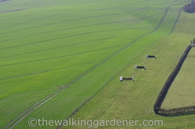 The Ridgeway Day 1 Overton Hill to Liddington (25)