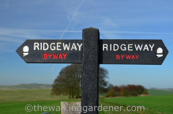 The Ridgeway Day 1 Overton Hill to Liddington