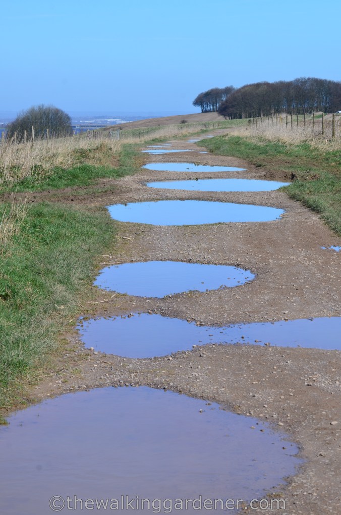 The Ridgeway Day 1 Overton Hill to Liddington (9)