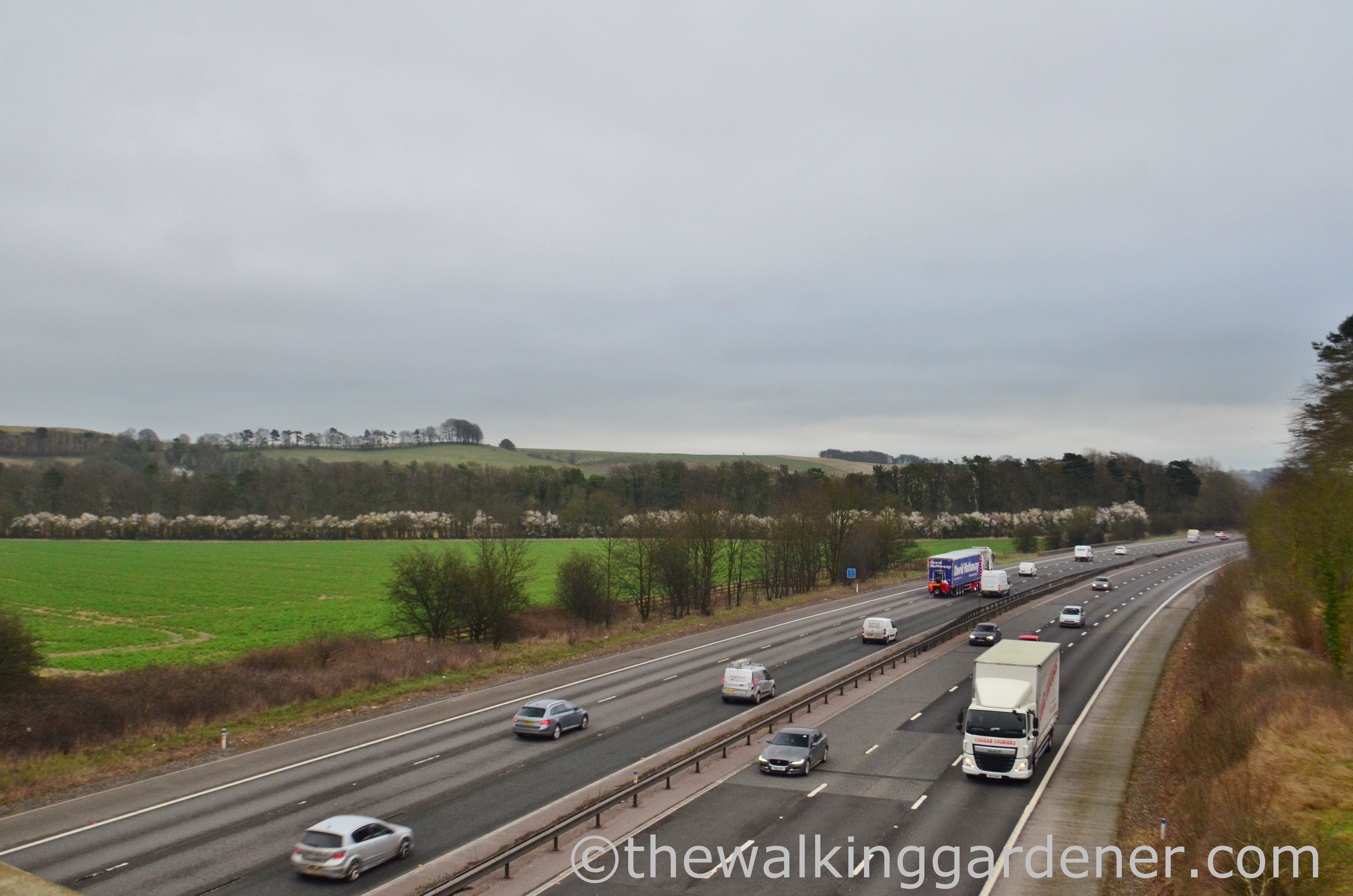 The Ridgeway Day 2 (1)