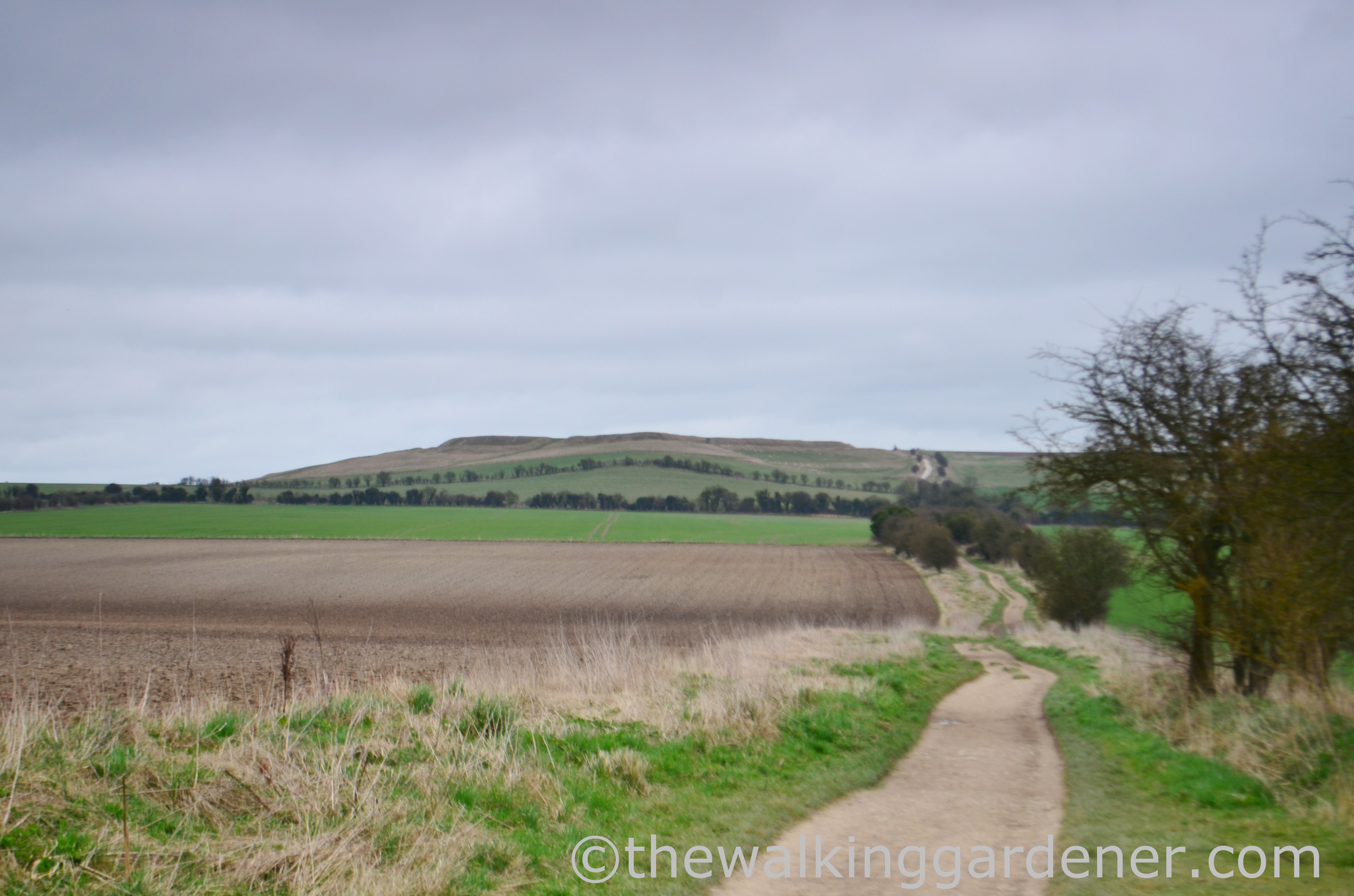 The Ridgeway Day 2 (10)