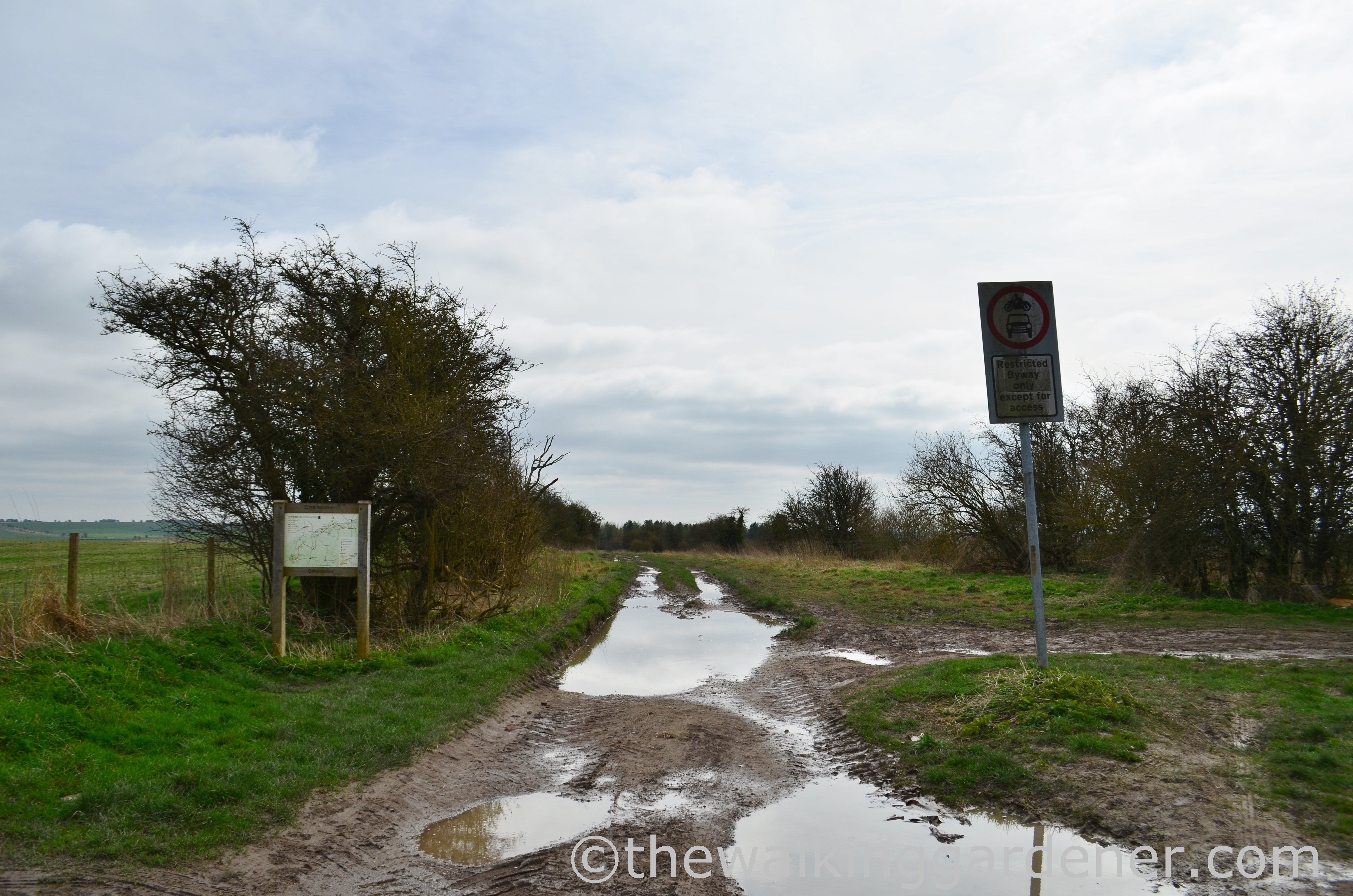 The Ridgeway Day 2 (15)
