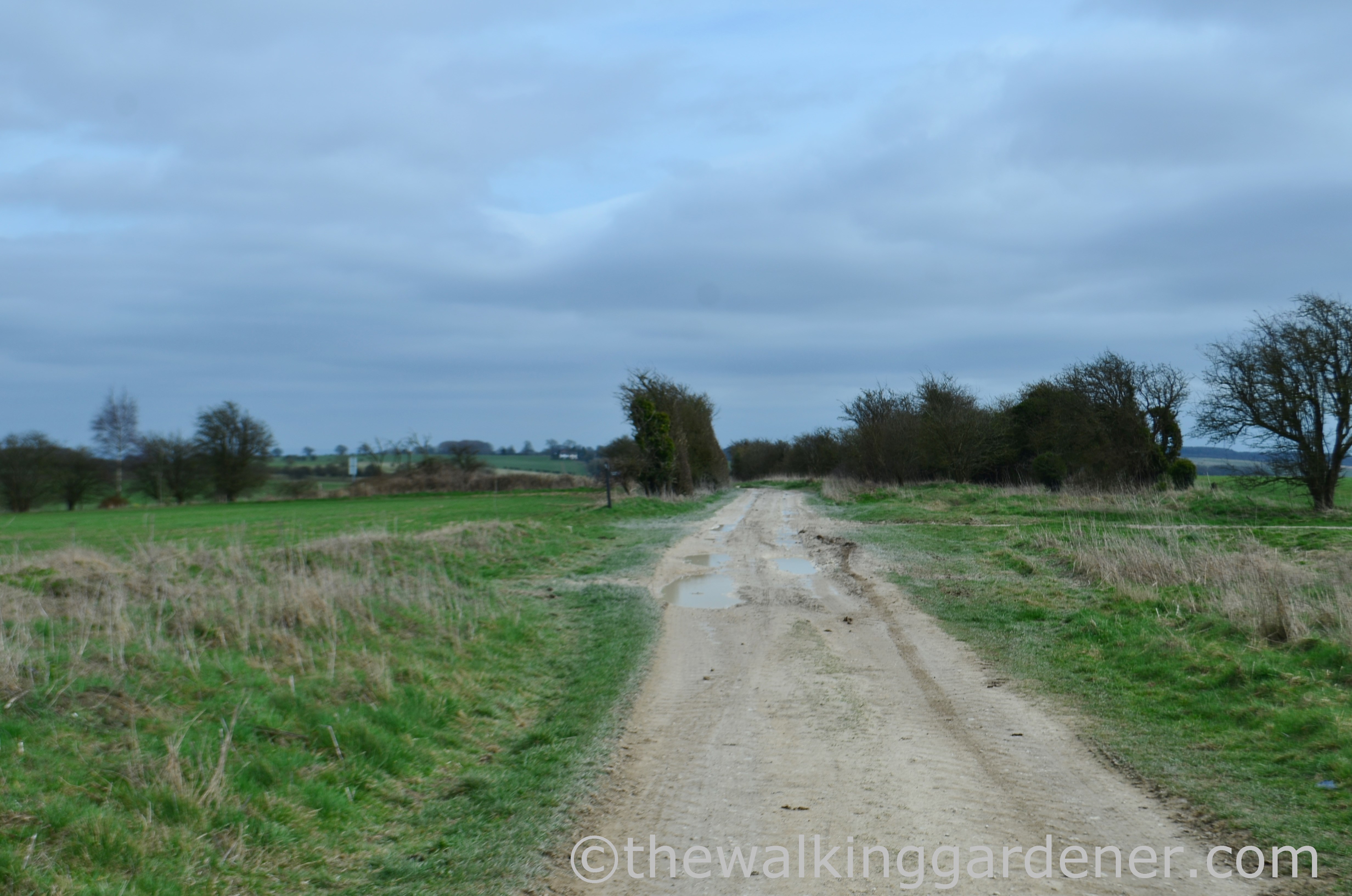 The Ridgeway Day 2 (16)