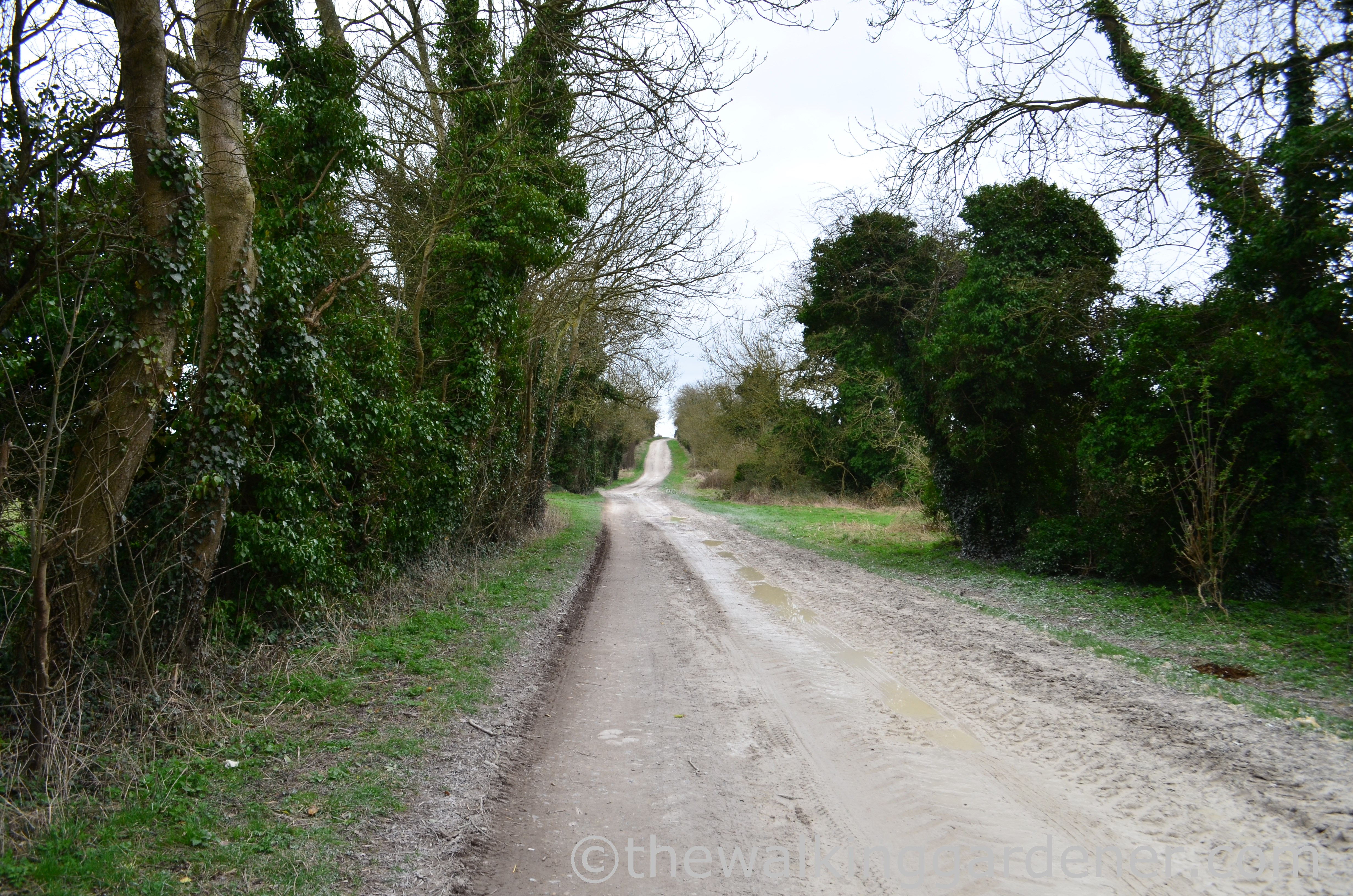 The Ridgeway Day 2 (18)