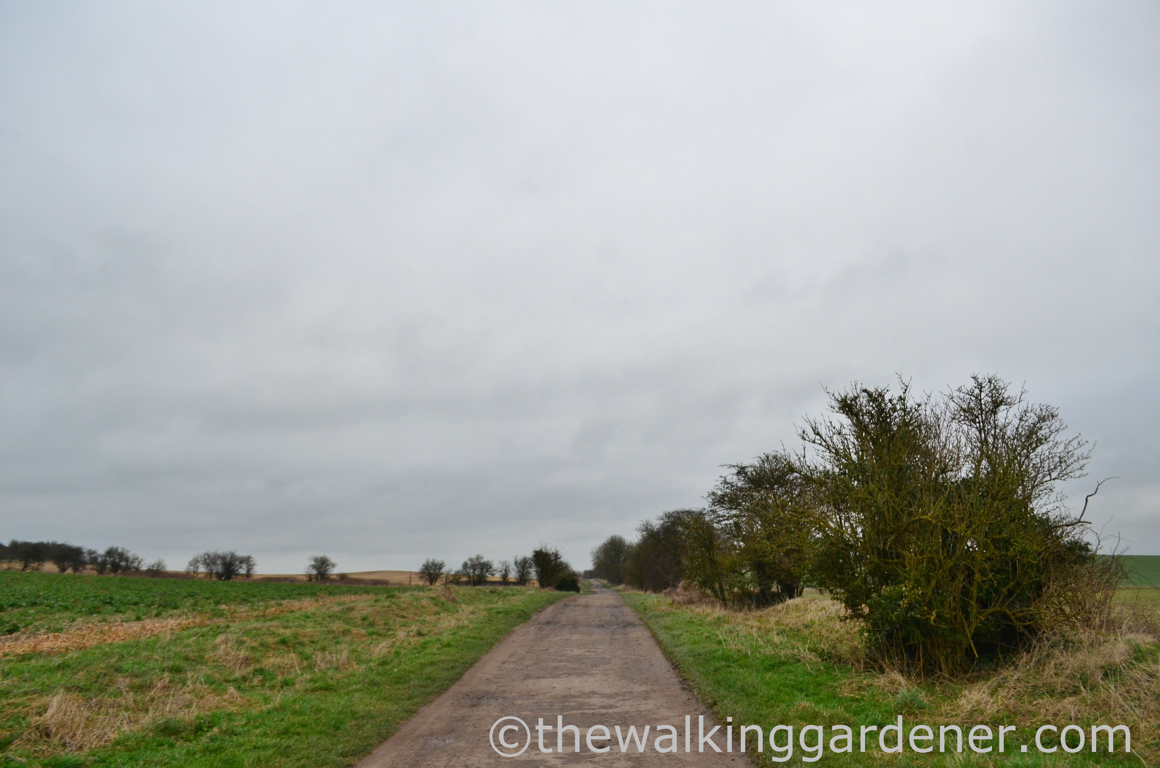 The Ridgeway Day 2 (3)