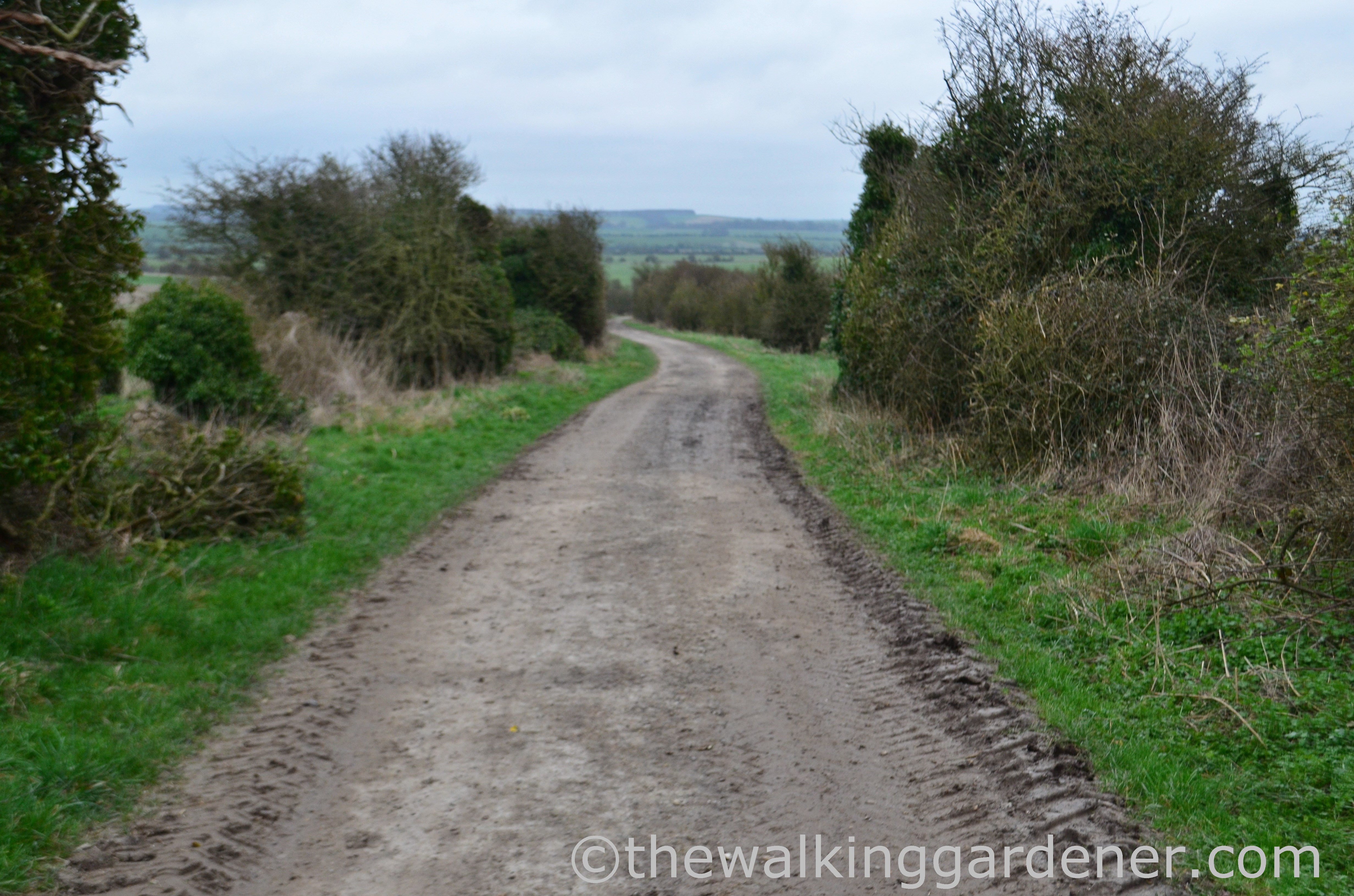 The Ridgeway Day 2 (4)