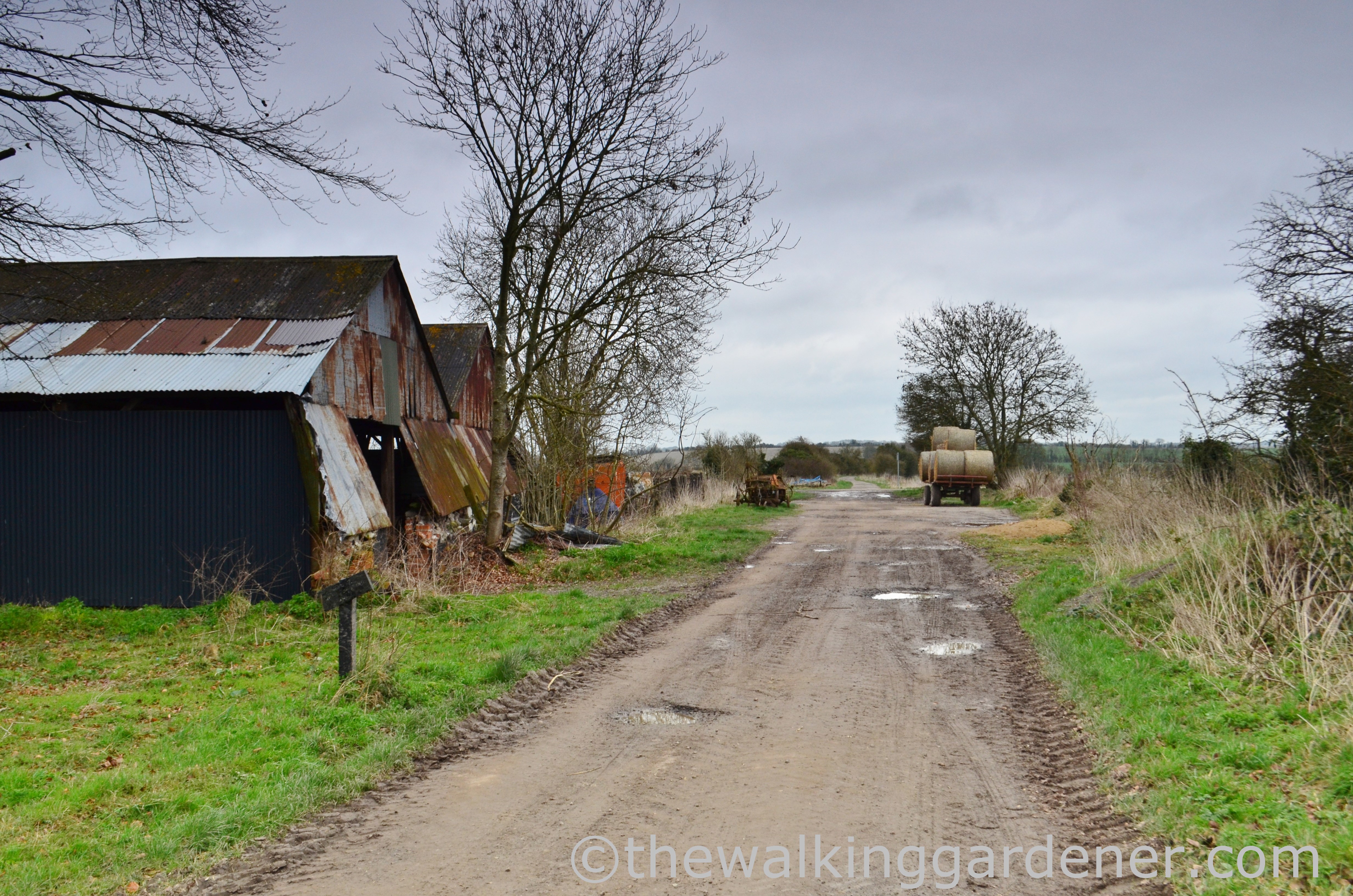 The Ridgeway Day 2 (5)