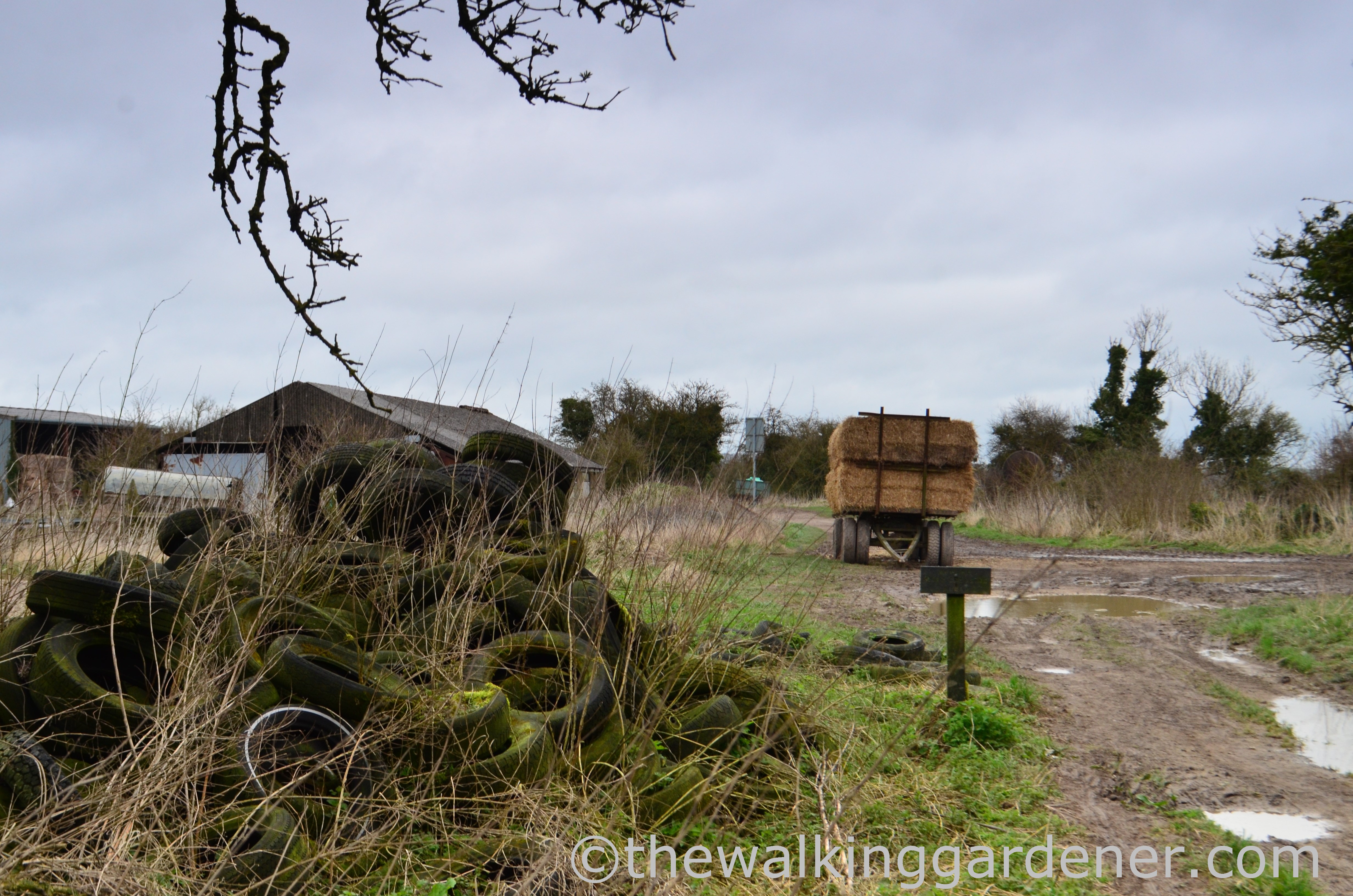 The Ridgeway Day 2 (6)