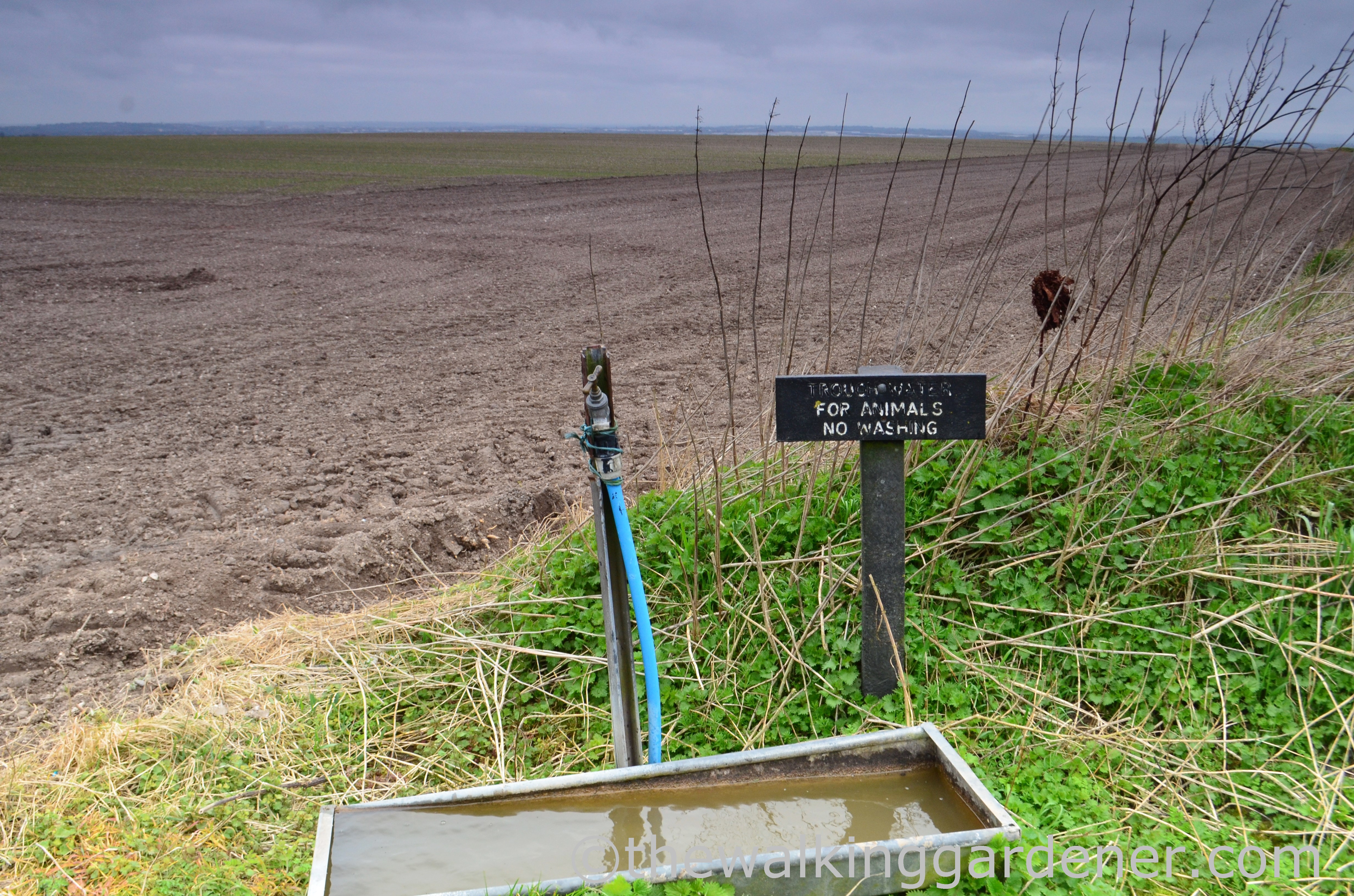 The Ridgeway Day 2 (7)