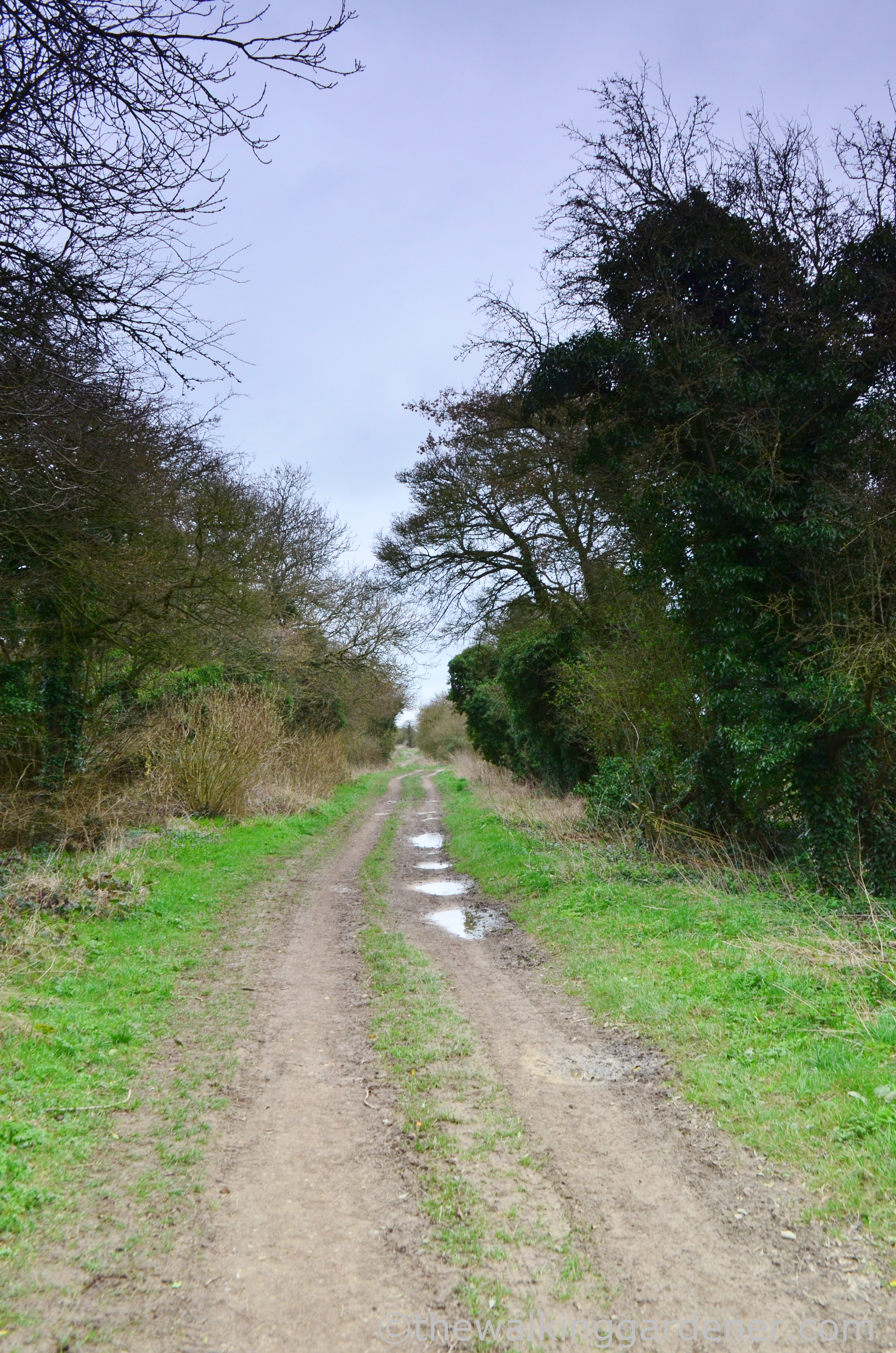 The Ridgeway Day 2 (8)