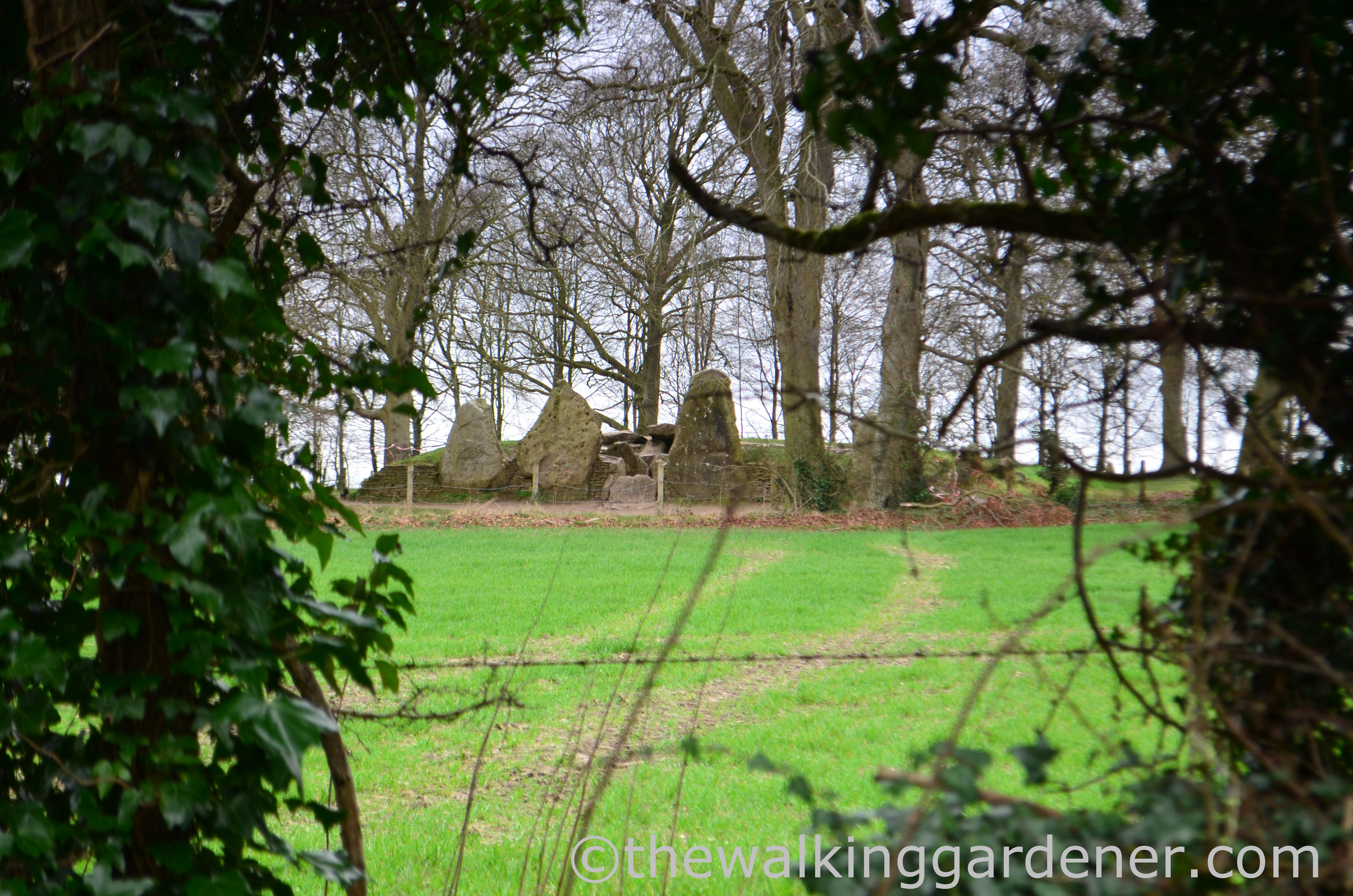 Wayland Smithy (1)