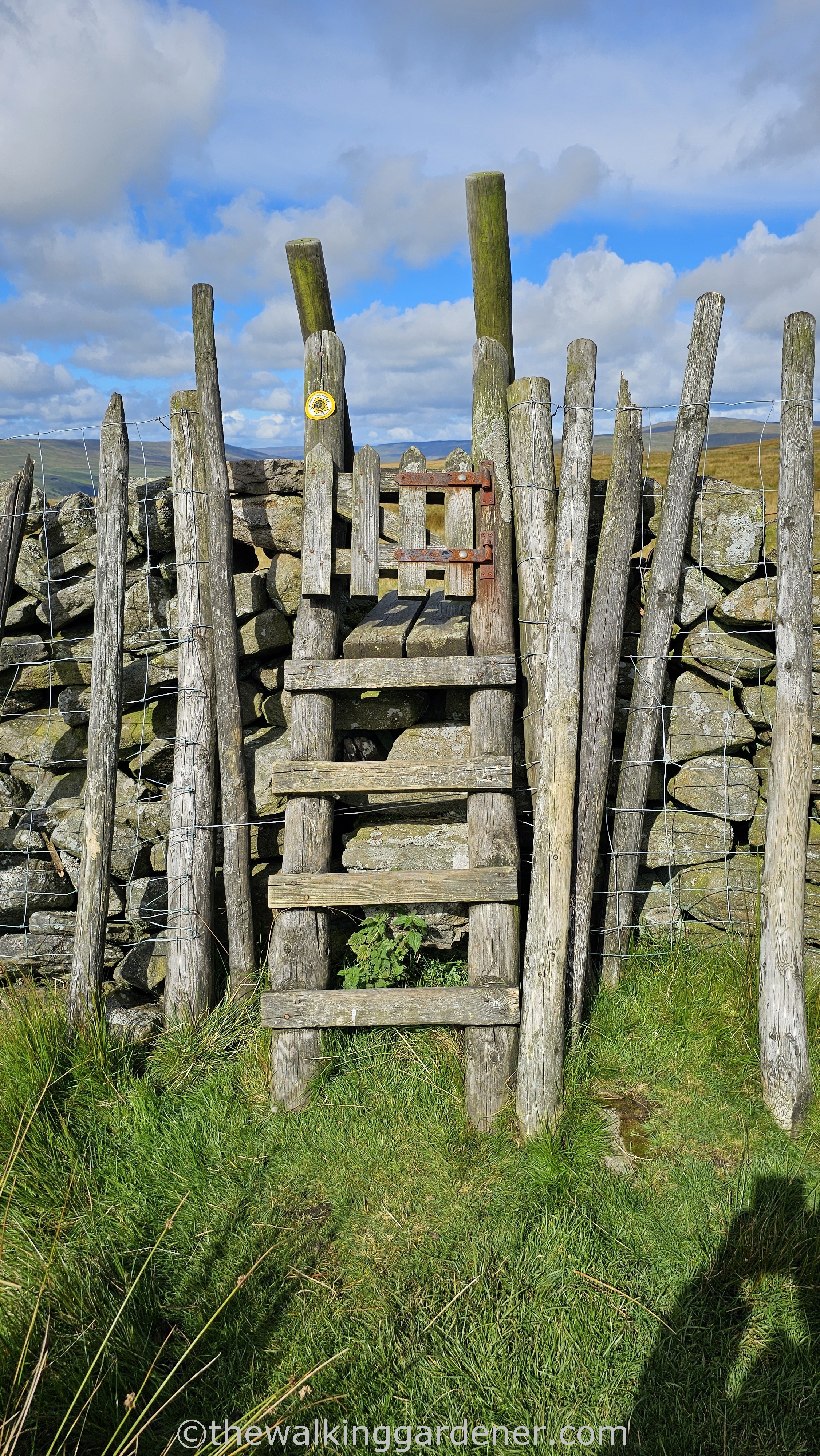 A wooden stile made of rustic timber logs, leading over a stone wall with lush green grass surrounding it and a bright blue sky with scattered clouds above.
