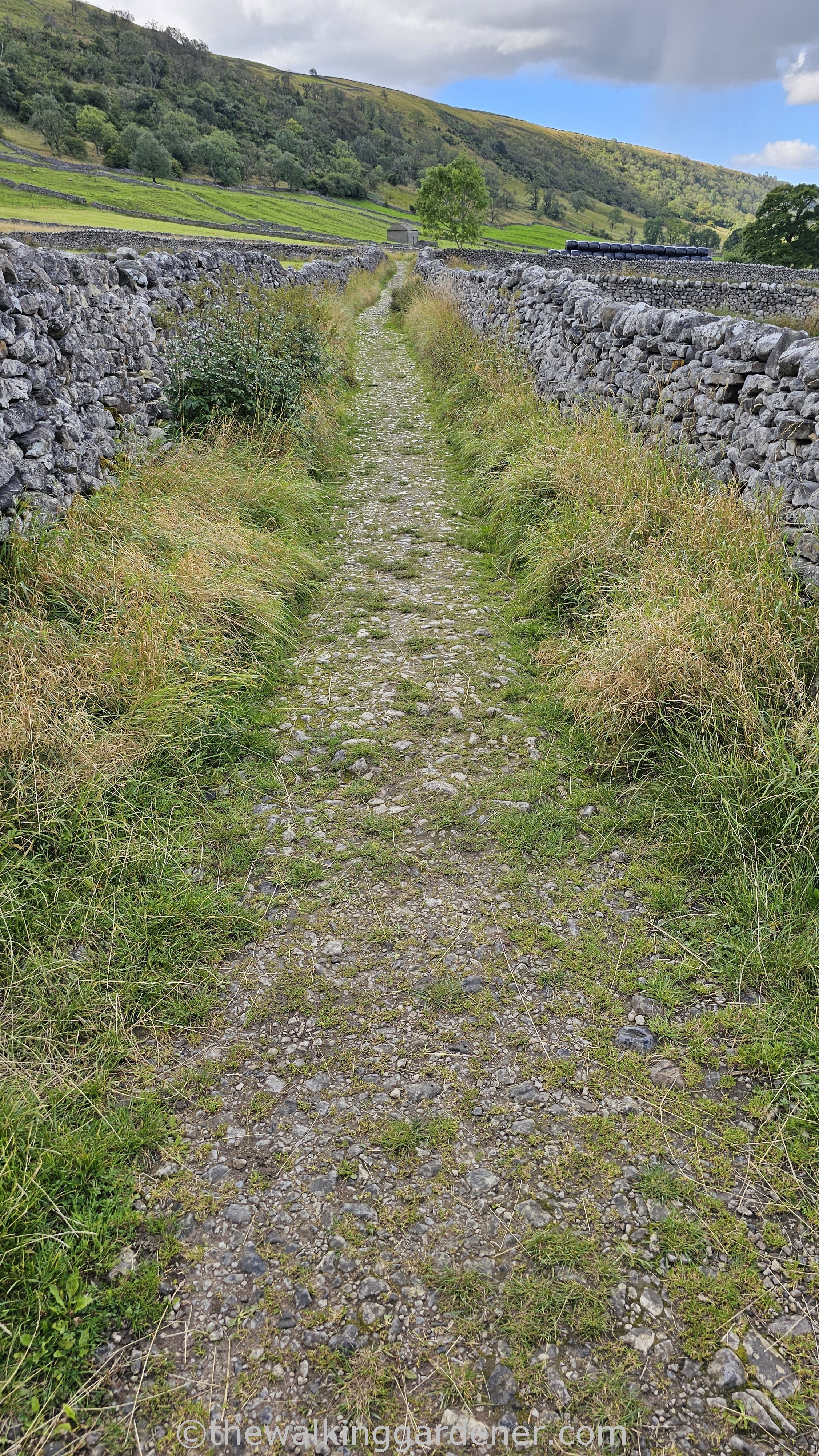 The Lady Anne's Way: a narrow, rocky path winding between dry stone walls in a green countryside setting.