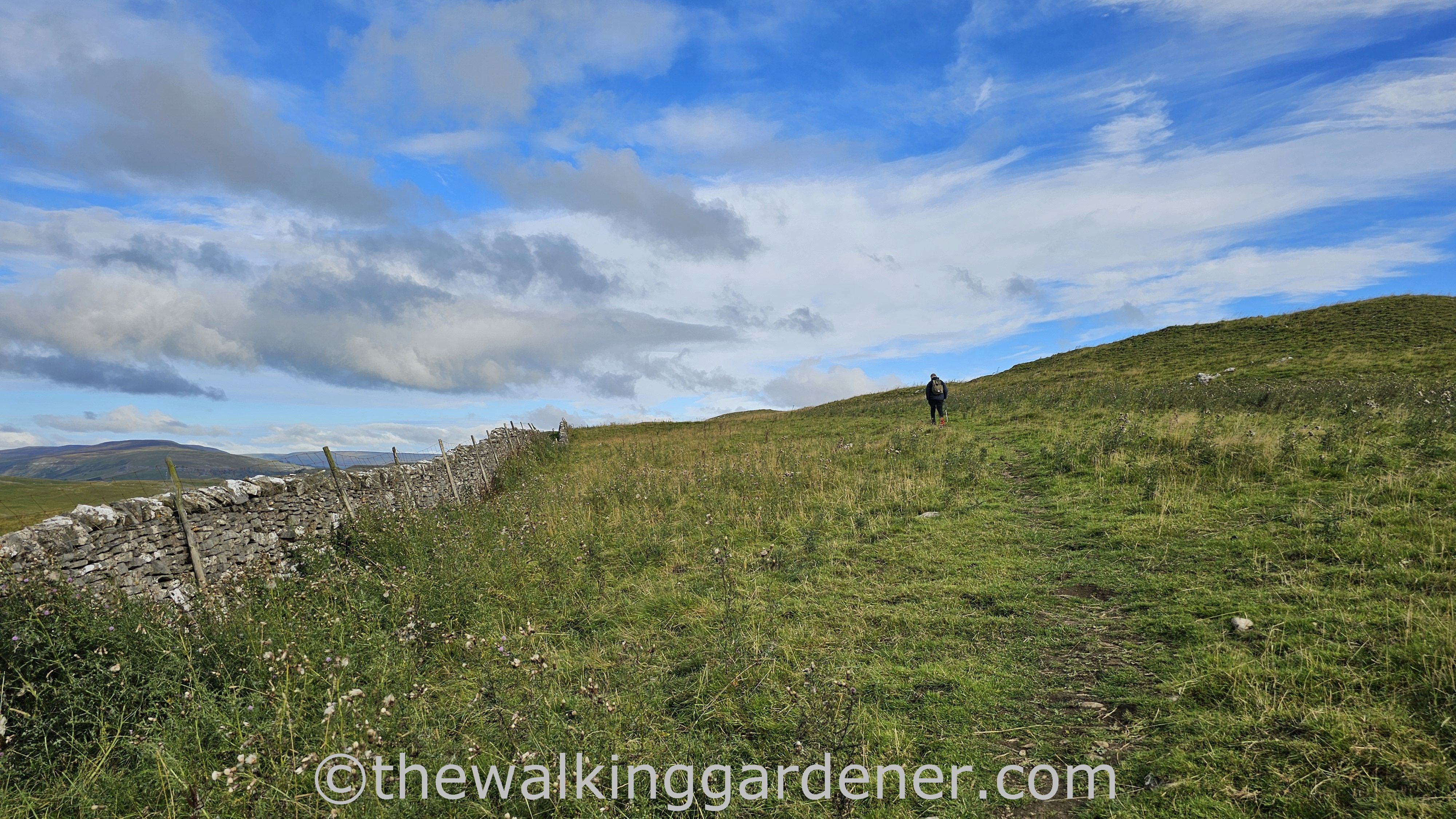 A hiker walking along a grassy path on the Lady Anne's Way bordered by a dry stone wall under a cloudy blue sky.