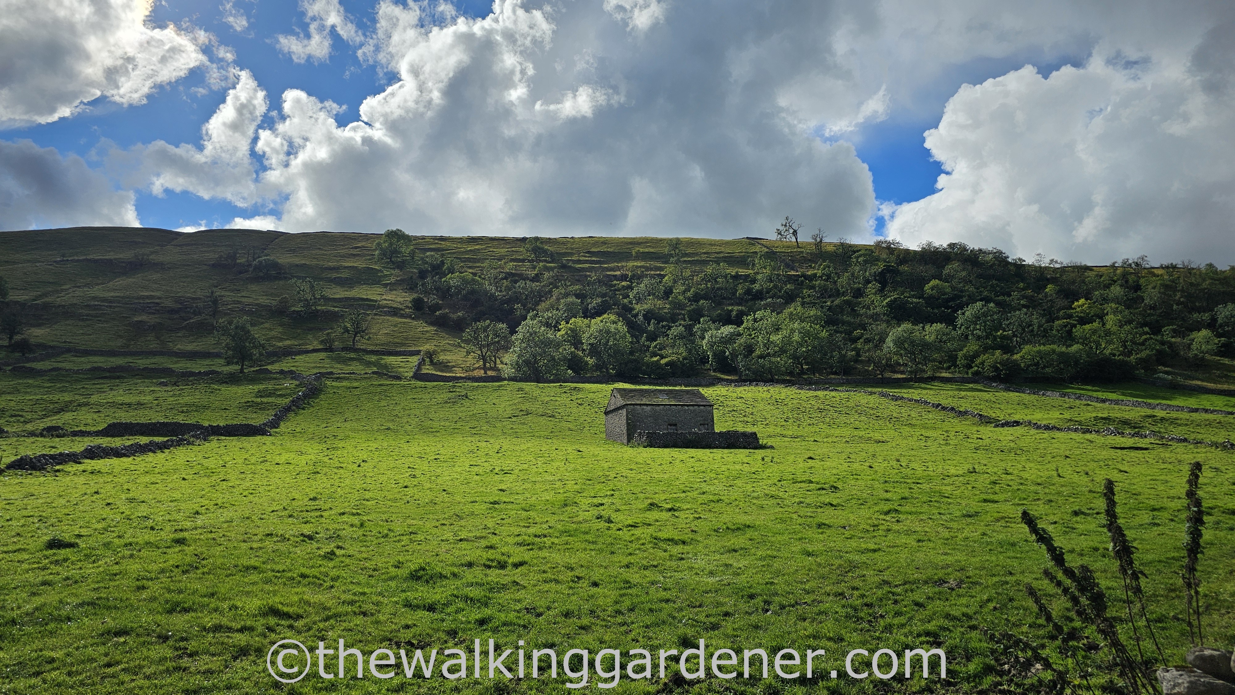 A solitary stone building set against a vibrant green meadow, surrounded by trees and drystone walls, under a partly cloudy blue sky.