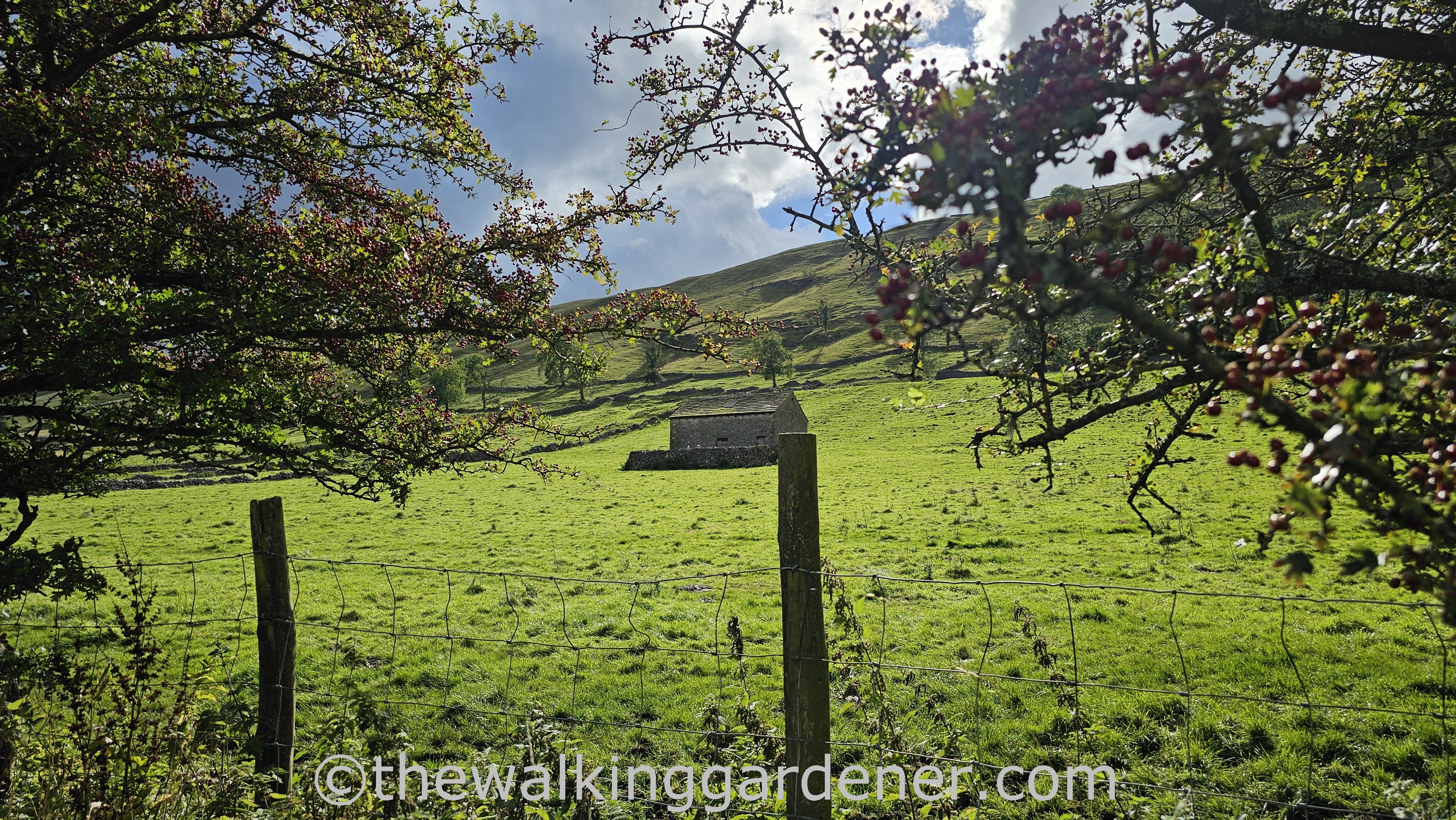 A view of a dilapidated farmhouse surrounded by lush green pasture and trees, under a partly cloudy sky.