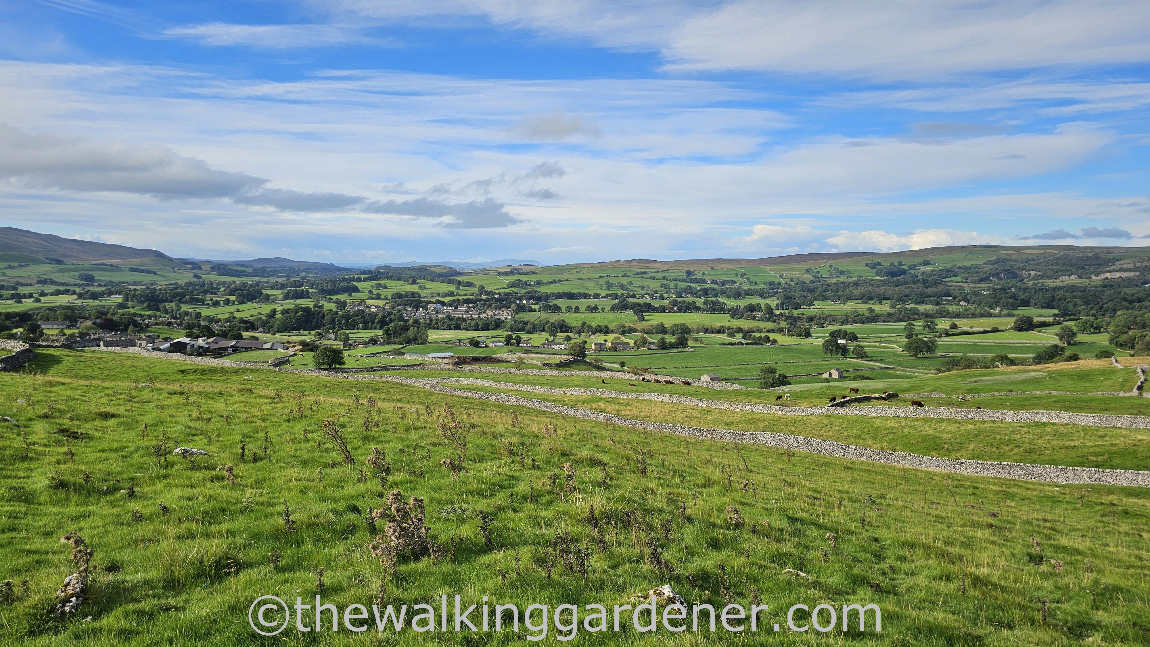 A panoramic view of a lush green valley with drystone walls, farmhouses, and distant hills under a partly cloudy sky.